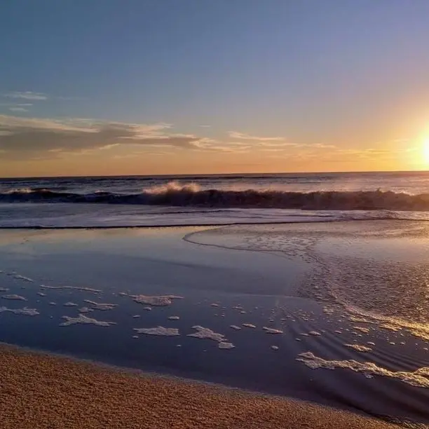 Olas en la orilla del mar